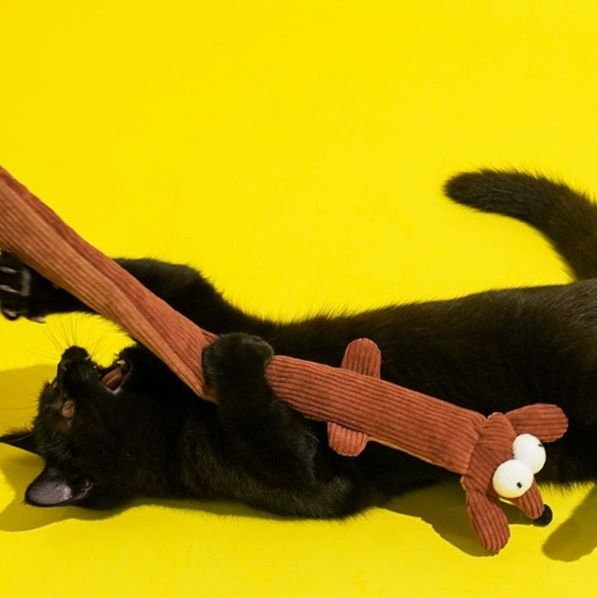 猫 おもちゃ 遊び心くすぐるさすらいの腕長猫じゃらし