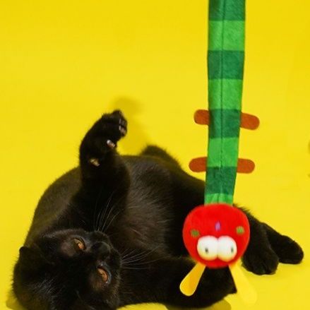 猫 おもちゃ 遊び心くすぐるさすらいの腕長猫じゃらし