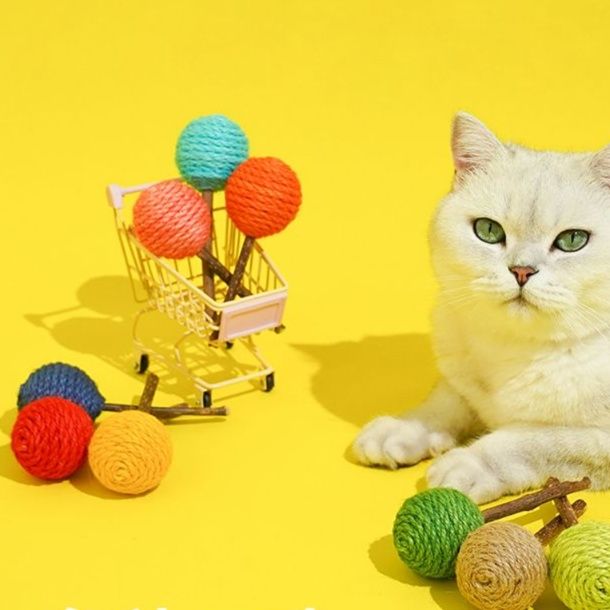 猫 おもちゃ 天然歯磨き 猫じゃらし