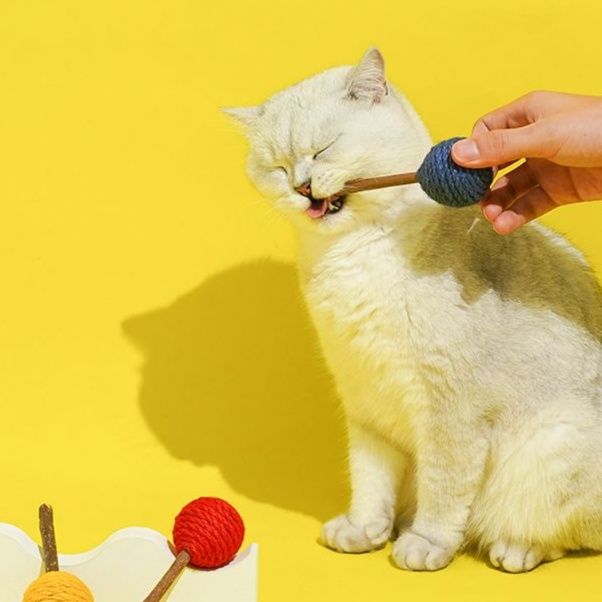 猫 おもちゃ 天然歯磨き 猫じゃらし