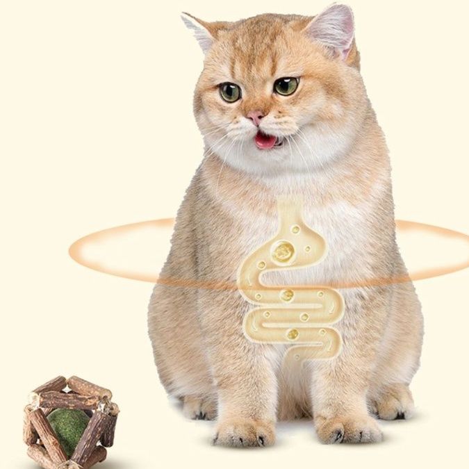 猫 おもちゃ 天然木製ボール型 歯みがき猫じゃらし