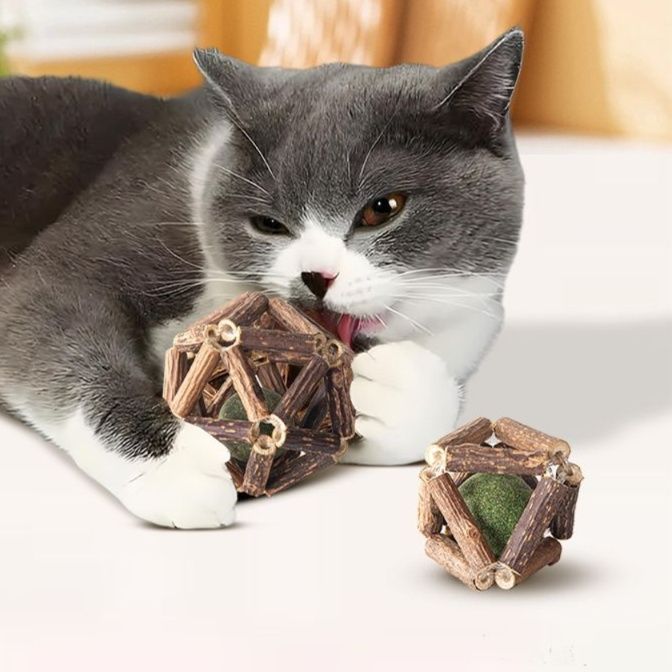 猫 おもちゃ 天然木製ボール型 歯みがき猫じゃらし