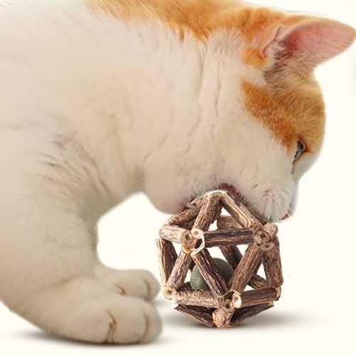 猫 おもちゃ 天然木製ボール型 歯みがき猫じゃらし