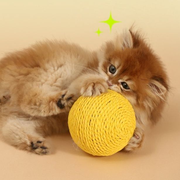 猫 おもちゃ もこもこ紙縄ボール 猫じゃらし