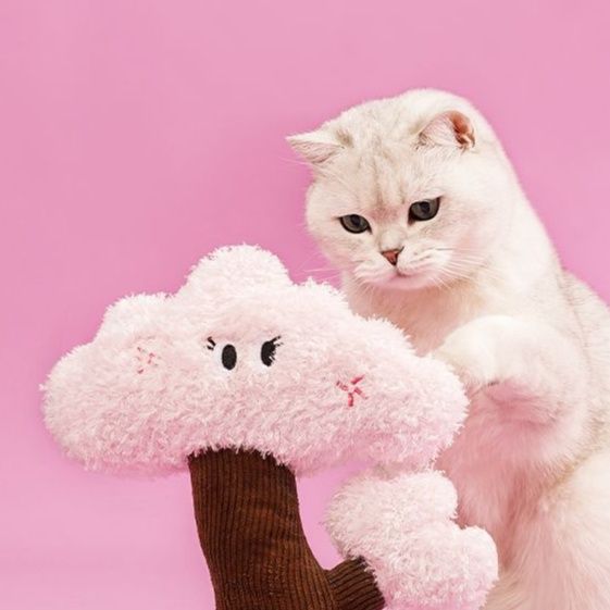 猫 おもちゃ 桜の木の猫じゃらし