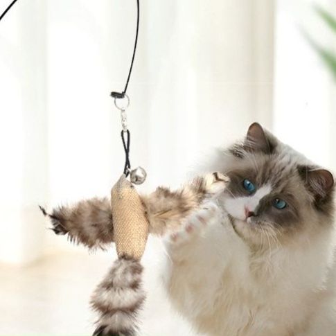 猫 おもちゃ 天然羽根付き 伸縮式猫じゃらし棒