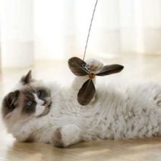 猫 おもちゃ 天然羽根付き 伸縮式猫じゃらし棒