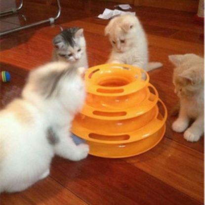 https://fulmo-img-server.com/party-cat/1750224107482_45z1md6a_hp3ocwci.jpeg
