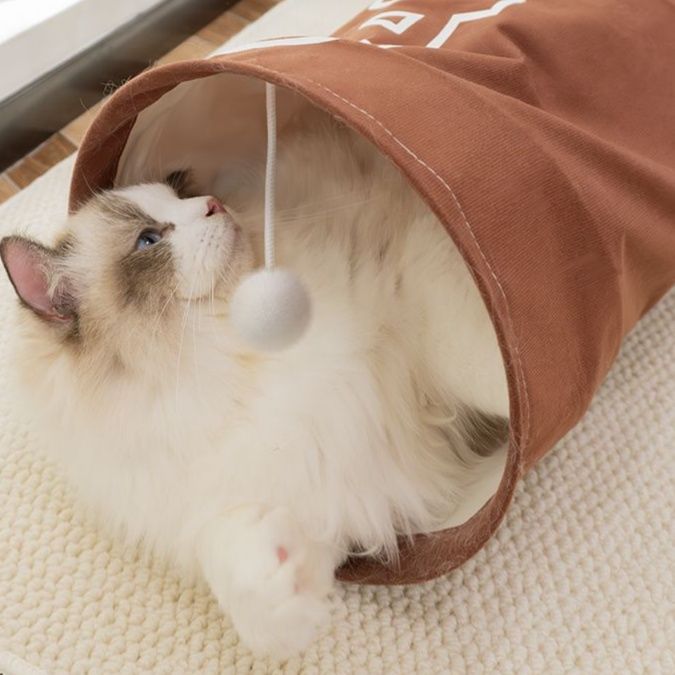 猫 おもちゃ トンネルじゃらし 収納上手