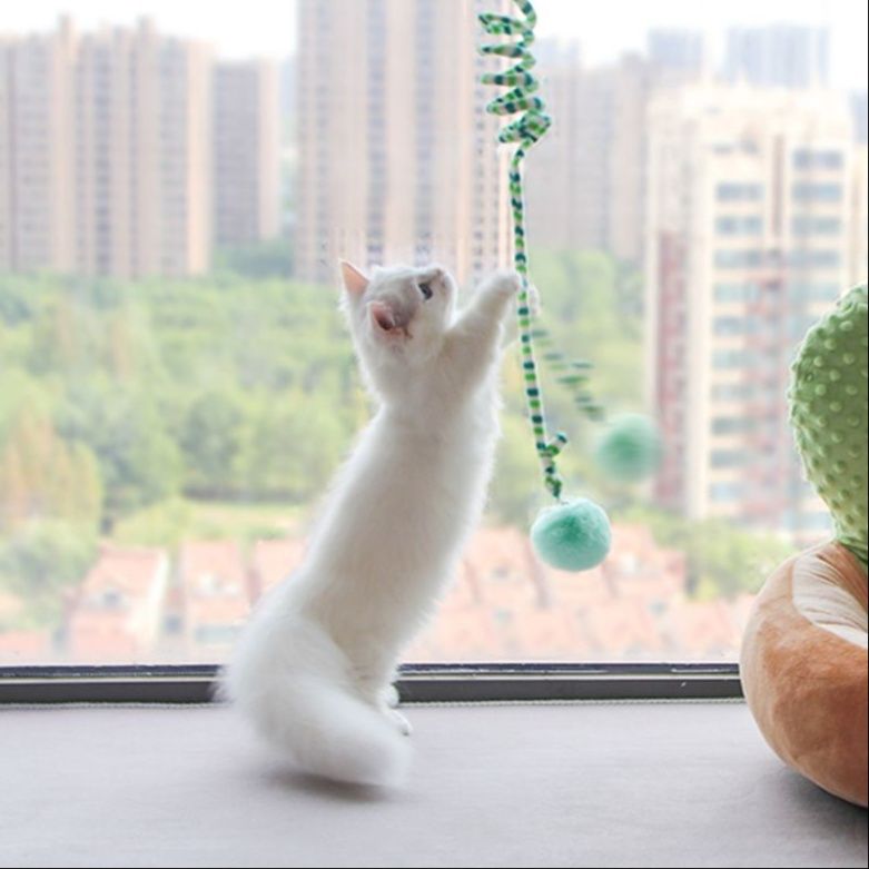 猫 おもちゃ 窓設置型 伸縮ボール 猫じゃらし