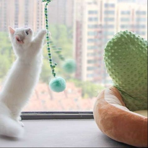 猫 おもちゃ 窓設置型 伸縮ボール 猫じゃらし