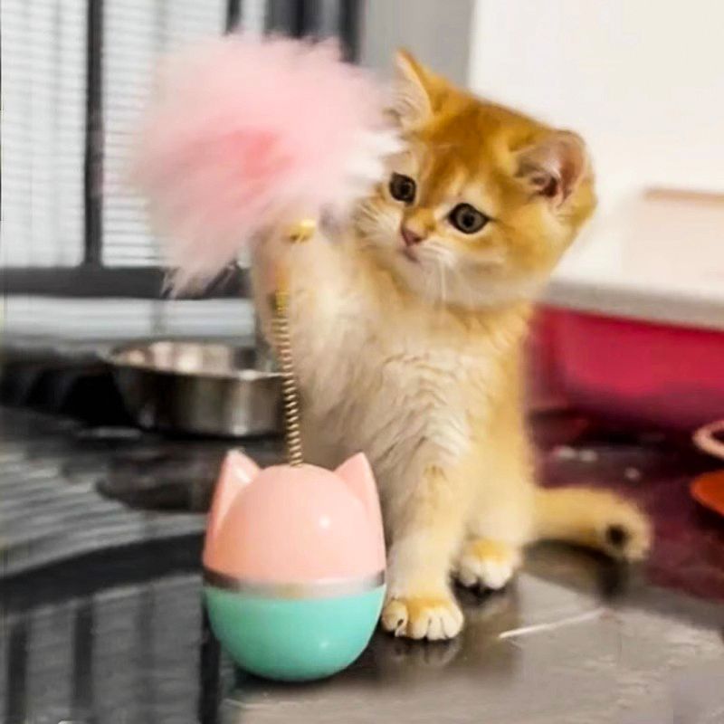 https://fulmo-img-server.com/party-cat/1750238305680_x657ppli_0oc1mz59.jpeg