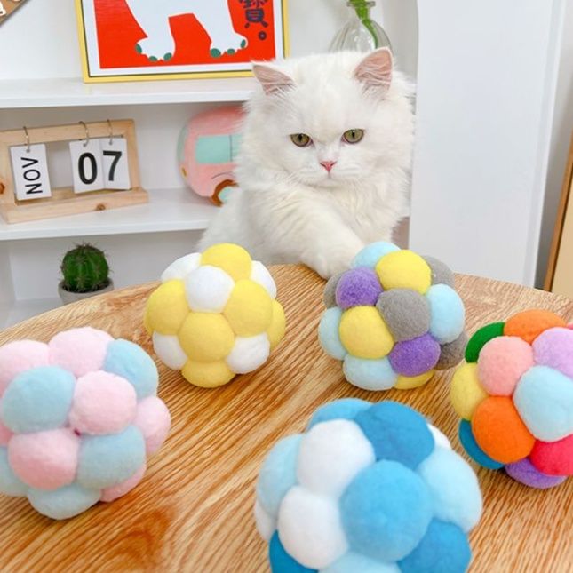https://fulmo-img-server.com/party-cat/1750238689078_mqj92n78_yc967nie.jpeg