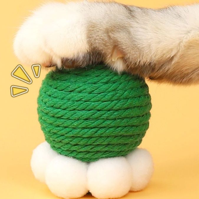 https://fulmo-img-server.com/party-cat/1750239040197_xqtmebw5_x1x18r5w.jpeg