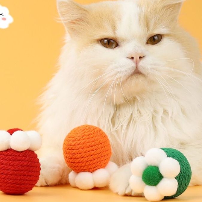 https://fulmo-img-server.com/party-cat/1750239053731_vx2s4cc5_yaqez1lh.jpeg