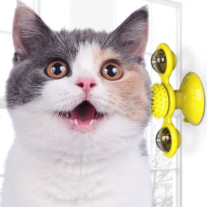 https://fulmo-img-server.com/party-cat/1750239615820_ibc8fz8e_cv8hfjhx.jpeg