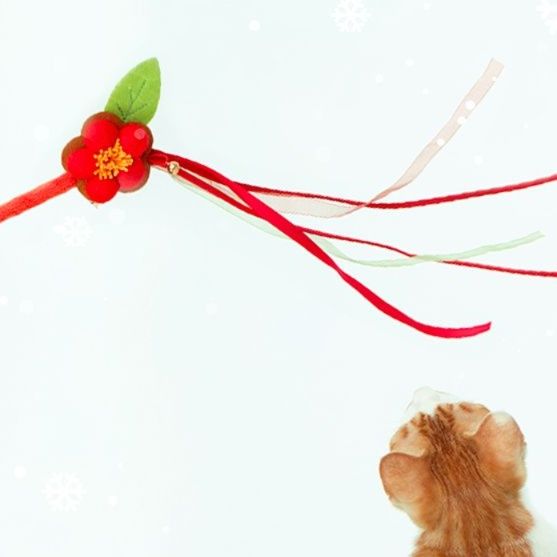 https://fulmo-img-server.com/party-cat/1750239702737_ha34n4mm_qpyyihxc.jpeg