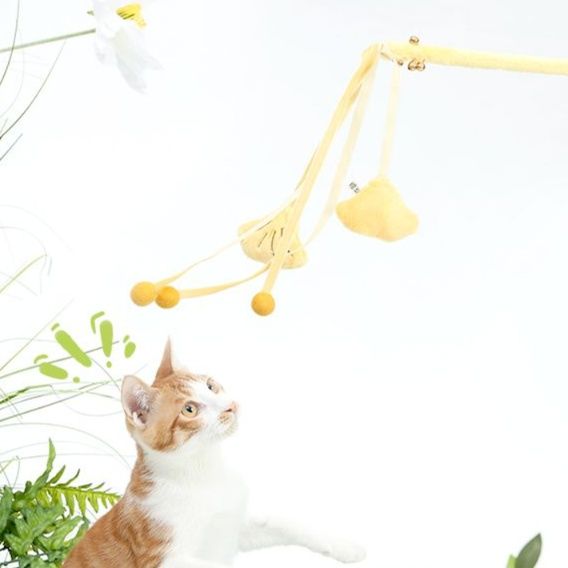 https://fulmo-img-server.com/party-cat/1750239711869_s5b574tr_1ktc2lqv.jpeg