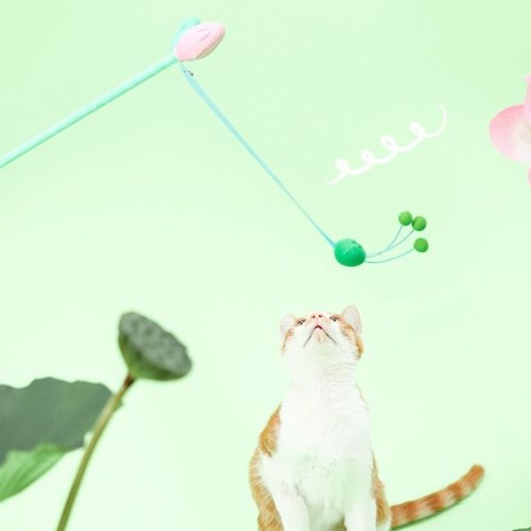 https://fulmo-img-server.com/party-cat/1750239720072_qbmcyugm_uylndg7b.jpeg