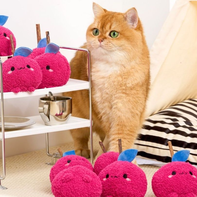 猫 おもちゃ もふもふおやつ遊びじゃらし
