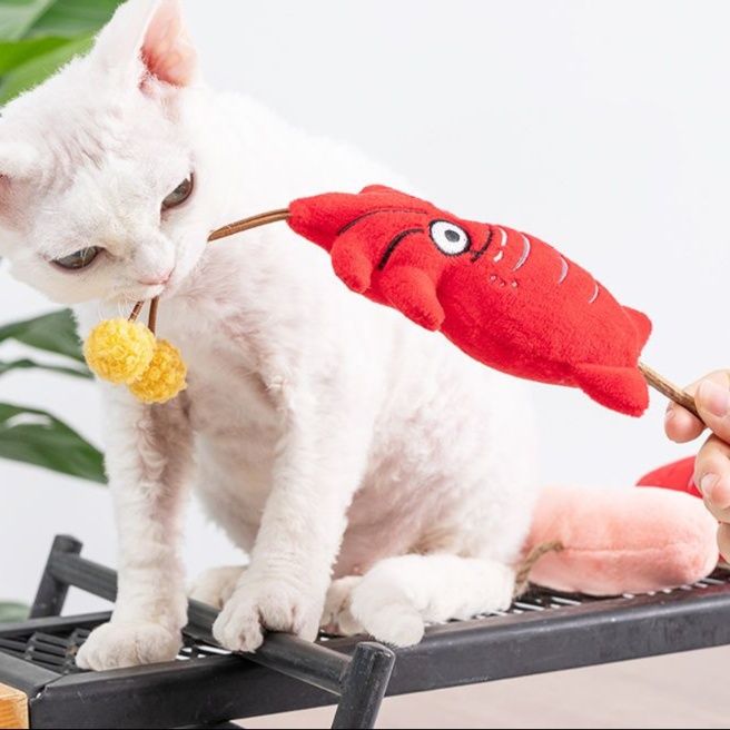 https://fulmo-img-server.com/party-cat/1750300451798_r6vrzhhl_9o82s8er.jpeg