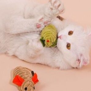 https://fulmo-img-server.com/party-cat/1750300850823_tmyqbwjf_4jl2r62f.jpeg