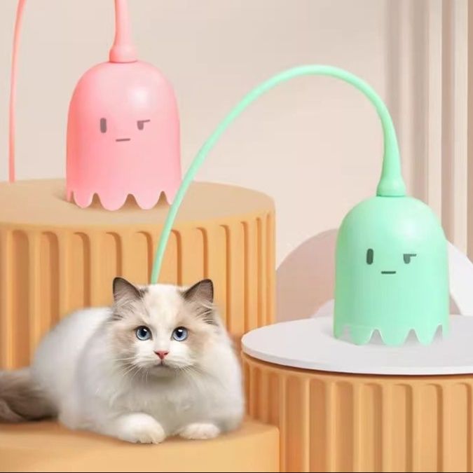 https://fulmo-img-server.com/party-cat/1750304839011_h94bxfz7_uf9nvl7n.jpeg