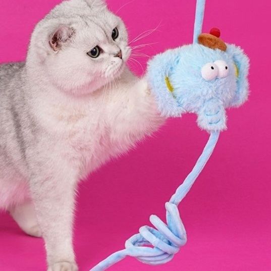 https://fulmo-img-server.com/party-cat/1750305050559_pgaaftmx_h5xt7l3k.jpeg