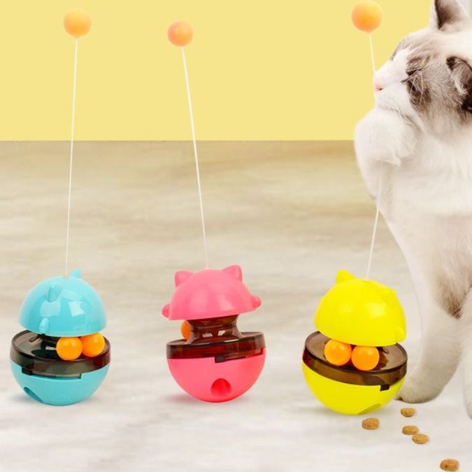 https://fulmo-img-server.com/party-cat/1750321478502_9lsdwnuv_2xnz2fic.jpeg