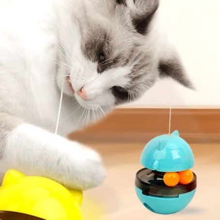 https://fulmo-img-server.com/party-cat/1750321493818_5ad0jrwl_jhzhqjfq.jpeg