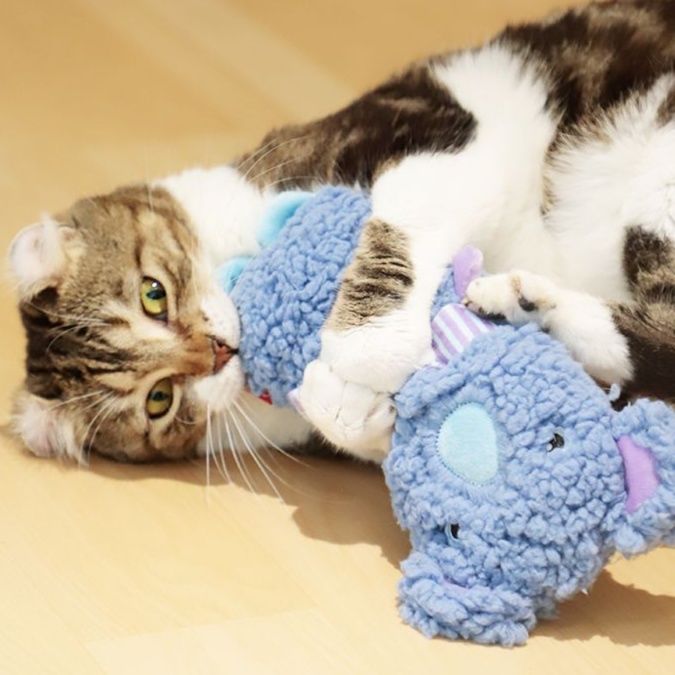 https://fulmo-img-server.com/party-cat/1750322121057_rcvmpdex_195z230p.jpeg