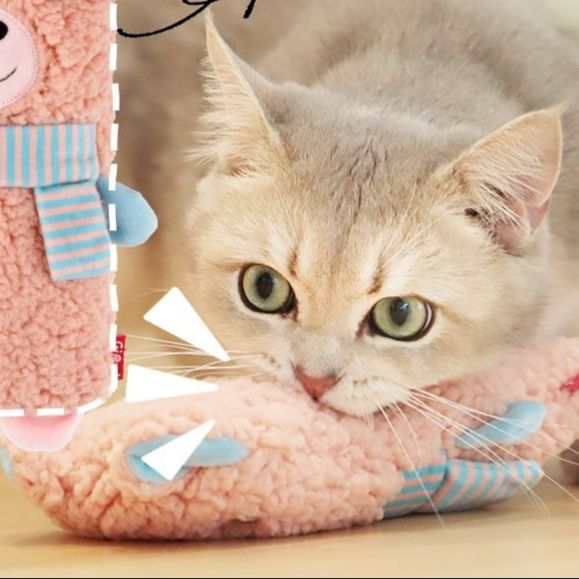 https://fulmo-img-server.com/party-cat/1750322141174_nr49boym_cdhoklbx.jpeg
