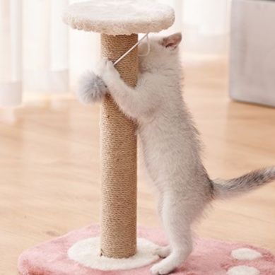 猫 おもちゃ お手軽ポールキャッチャー
