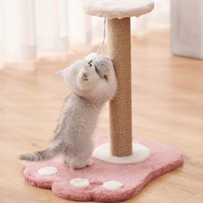 猫 おもちゃ お手軽ポールキャッチャー