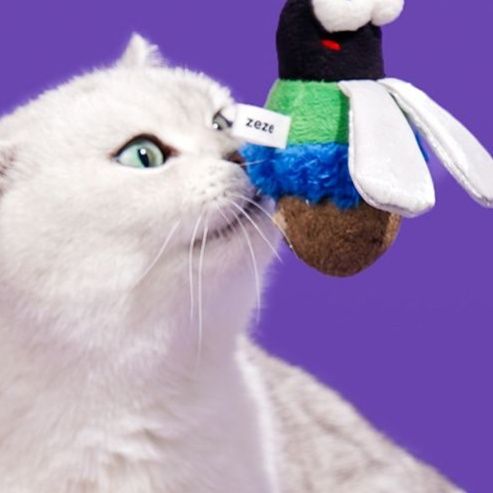 https://fulmo-img-server.com/party-cat/1750323571540_1i3fivgc_86ax6eeu.jpeg