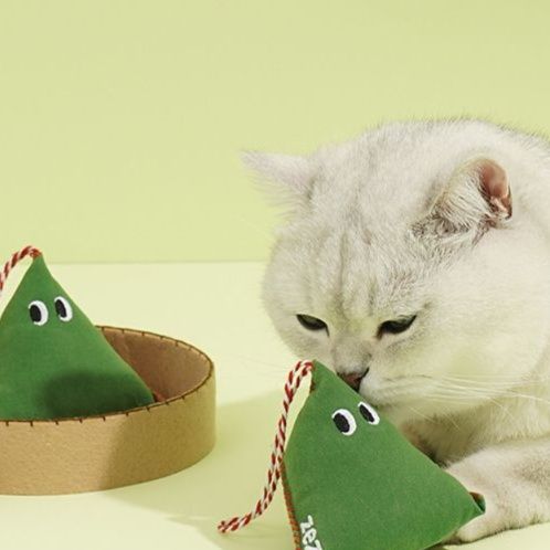 https://fulmo-img-server.com/party-cat/1750324153349_k3n8y95d_vbabt5f5.jpeg