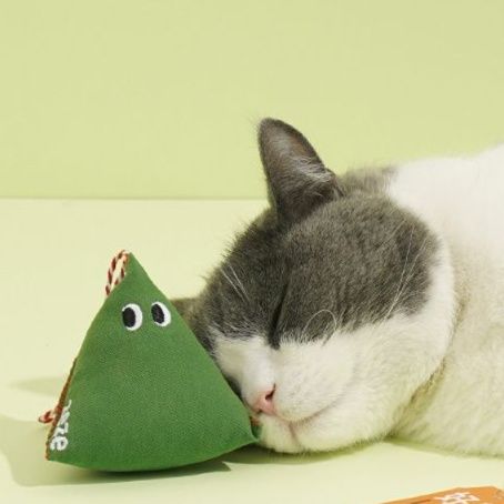 https://fulmo-img-server.com/party-cat/1750324165285_oah6ylro_bp3oxbf2.jpeg