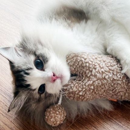 https://fulmo-img-server.com/party-cat/1750324322152_rmvgv3yp_yytwjukq.jpeg
