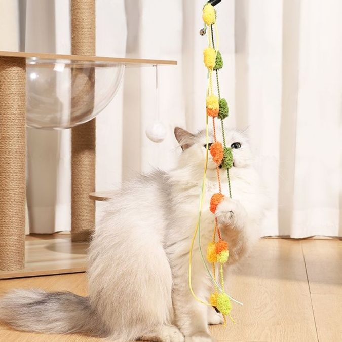 https://fulmo-img-server.com/party-cat/1750324509102_w18msiww_4kdrj98a.jpeg