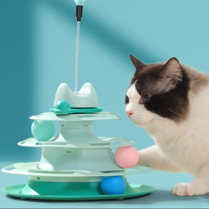 https://fulmo-img-server.com/party-cat/1750326197559_m7x35p17_4p2hgg9c.jpeg