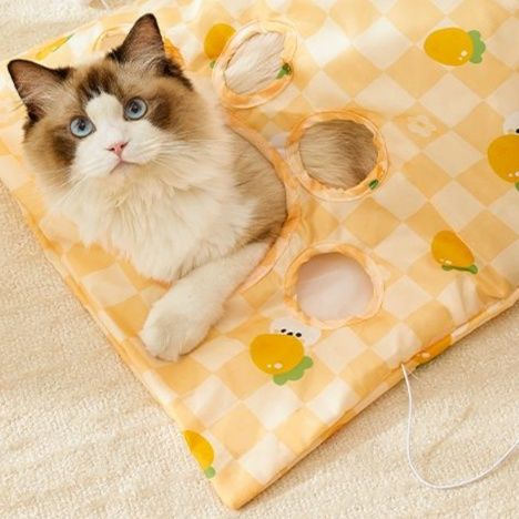 猫 おもちゃ トンネルチューブ おうちで遊ぼう猫じゃらし