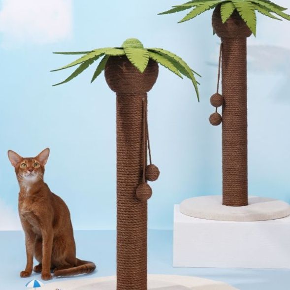 https://fulmo-img-server.com/party-cat/1750326591887_61wwa44p_fetwsbxn.jpeg