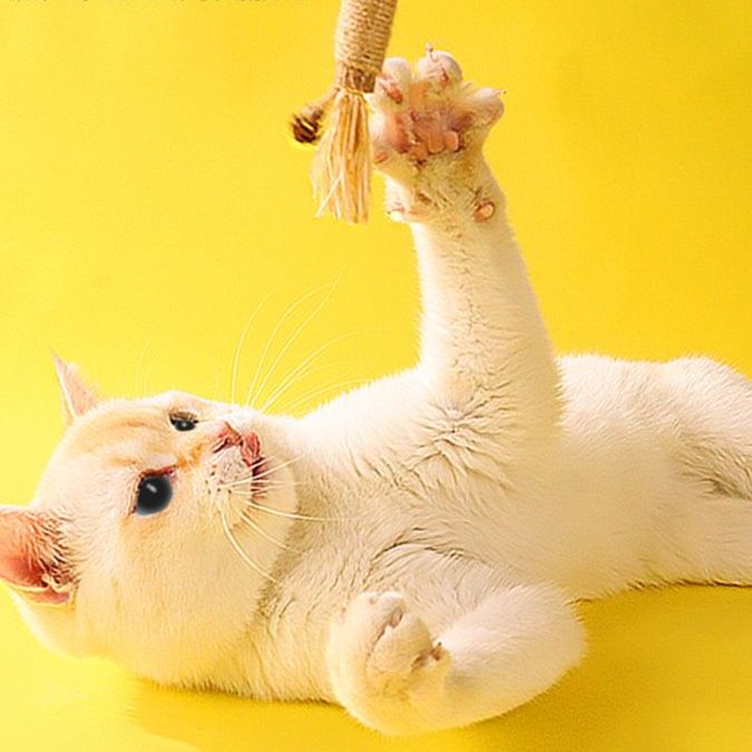 猫 おもちゃ 猫の歯磨きにもなる麻縄天然またたびスティック