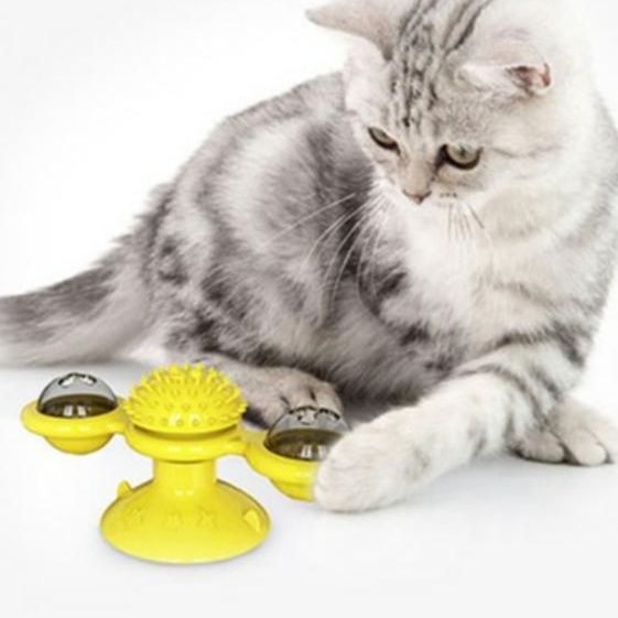 https://fulmo-img-server.com/party-cat/1750388882231_101w3x8f_djd5zj1r.jpeg