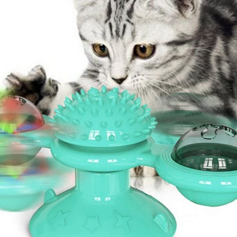 https://fulmo-img-server.com/party-cat/1750388893517_4k9qx8ah_s88c06y4.jpeg