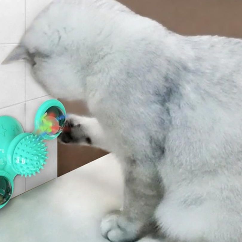 https://fulmo-img-server.com/party-cat/1750388899287_yzdqsqx7_k7tktg6b.jpeg
