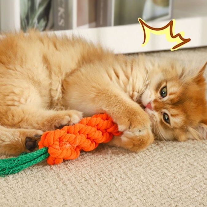 猫 おもちゃ にゃんこ歯磨き ニンジンじゃらし