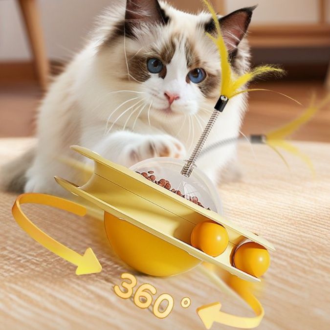 https://fulmo-img-server.com/party-cat/1750389137742_kvj7fjqh_80jda2z3.jpeg
