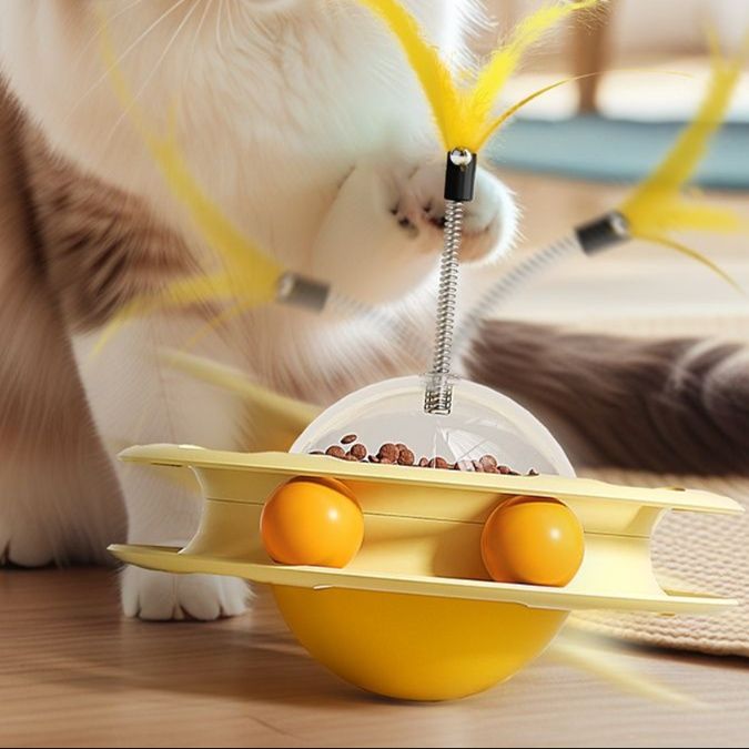 https://fulmo-img-server.com/party-cat/1750389155823_woewpoym_cmq1mcmo.jpeg