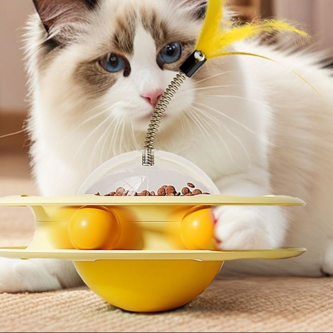 https://fulmo-img-server.com/party-cat/1750389165497_c3nwxdse_aowx1msq.jpeg
